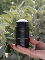 Bergamot + Eucalyptus Deodorant Deodorant Primally Pure