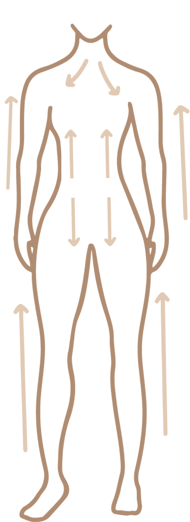 Primally Pure Dry Brush Body Diagram