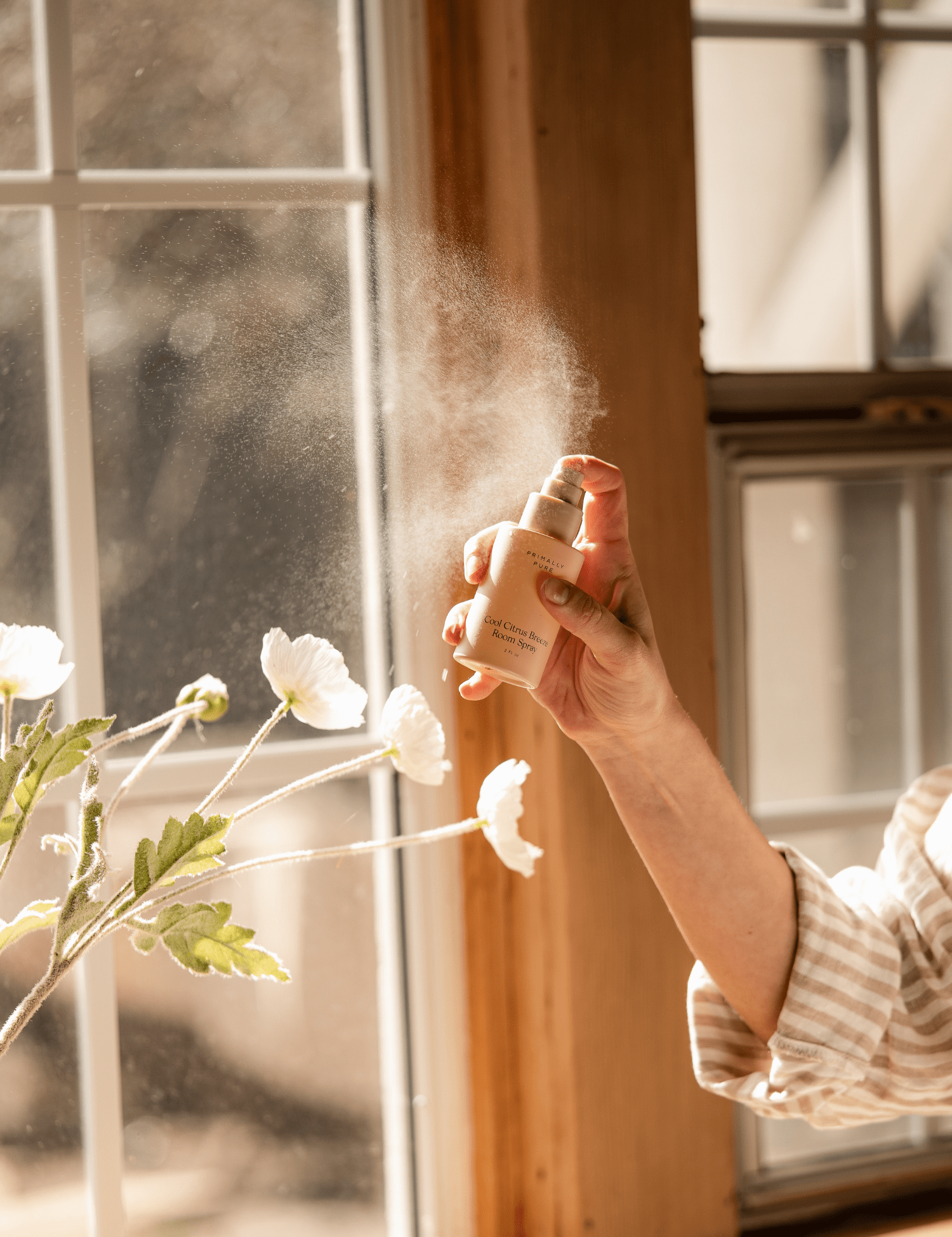 Cool Citrus Breeze Room Spray Room Spray Primally Pure