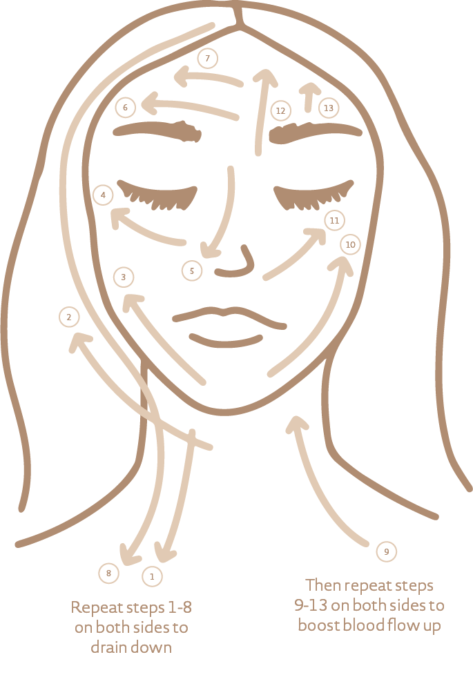 Primally Pure Dry Brush Face Diagram