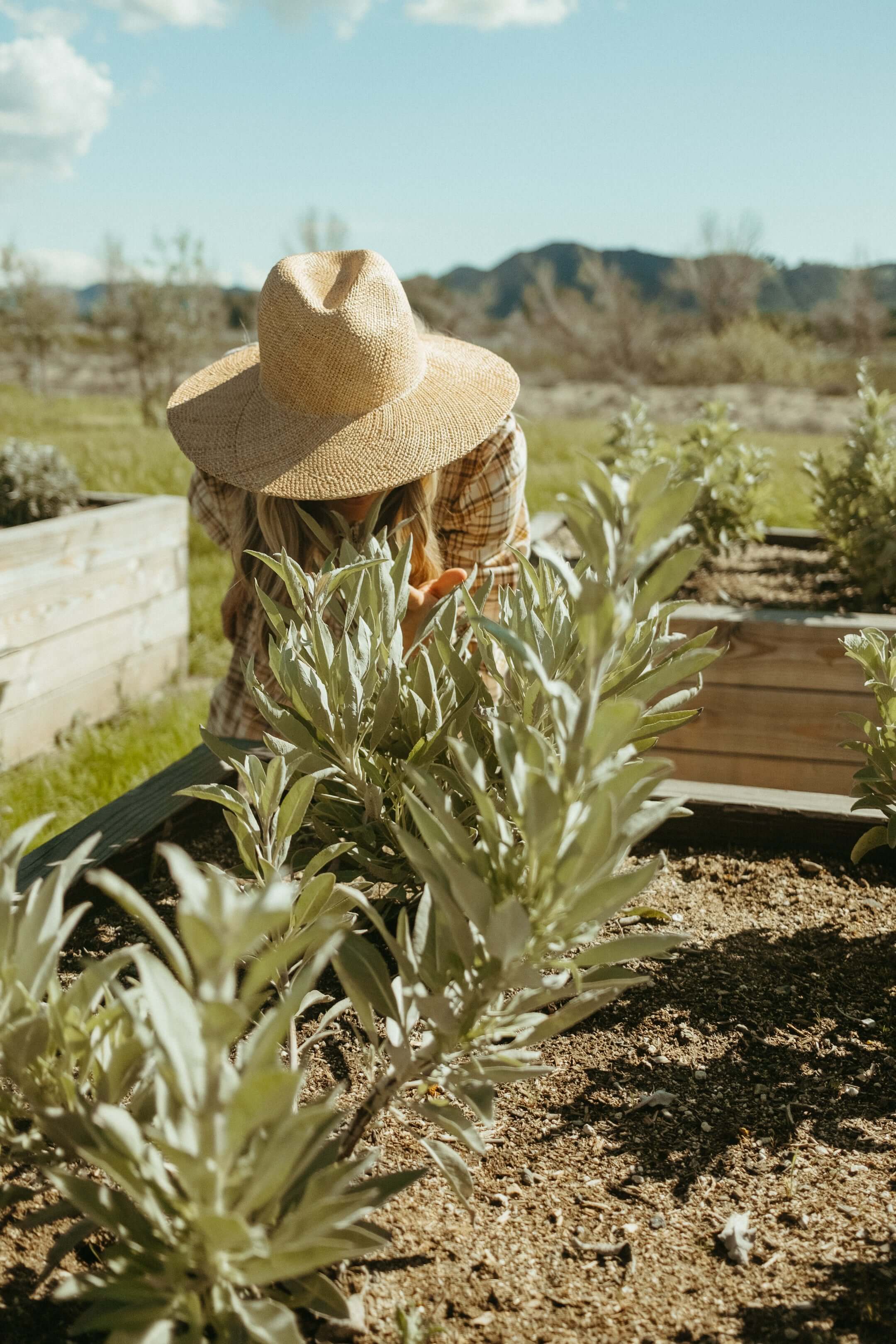 Primally Pure Regenerative Farm