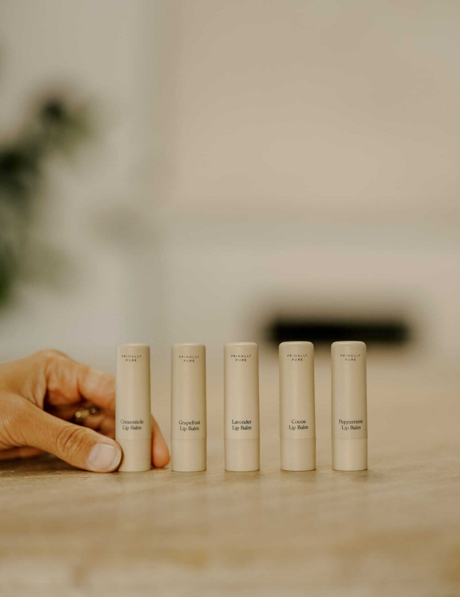 Lip Balm Set Bundle Primally Pure