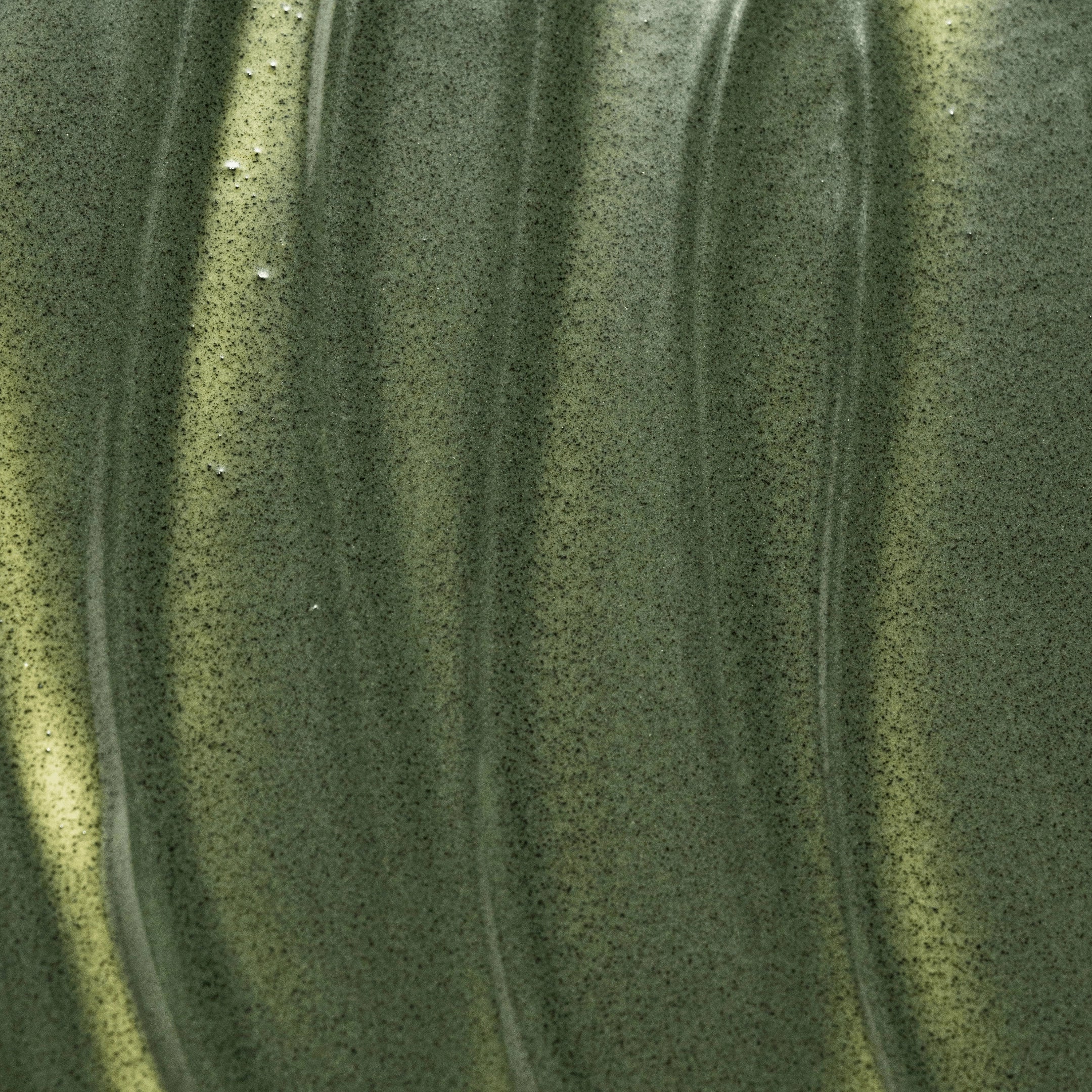Primally Pure Face Mask Texture of Green Soothing Face Mask