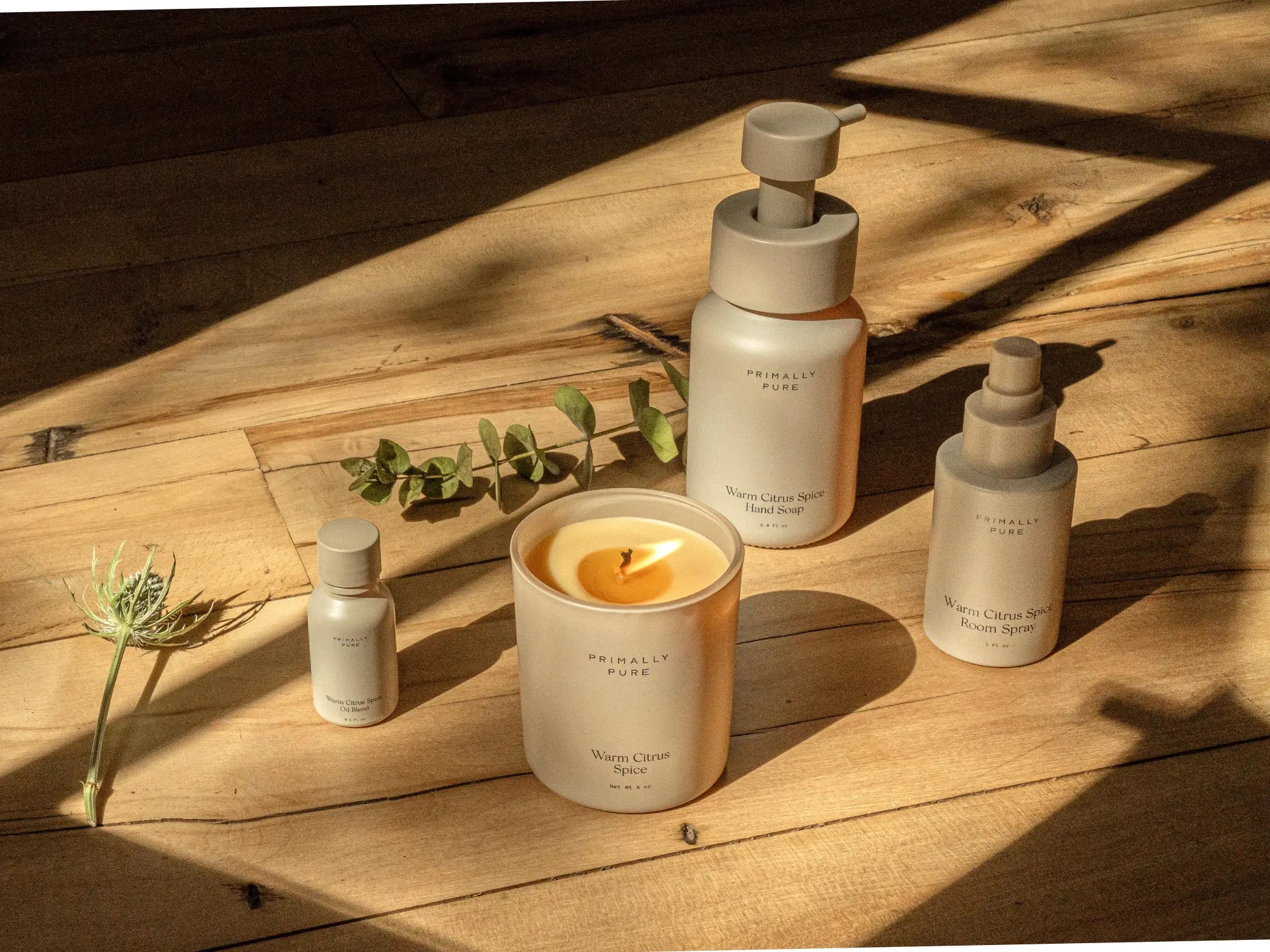warm_citrus_spice_collection.webp