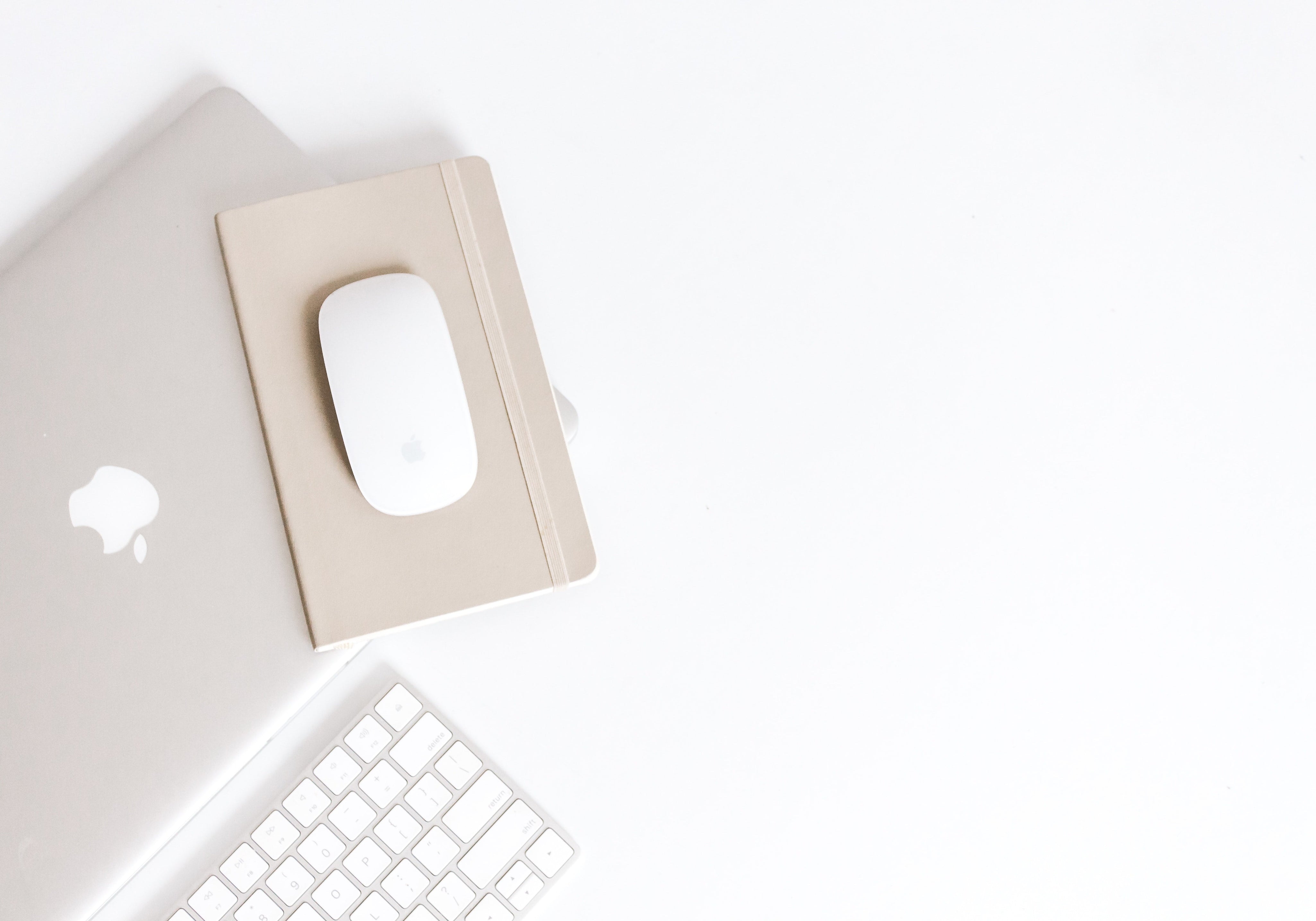 The Ultimate Guide: The Effects of Blue Light + Why It Matters