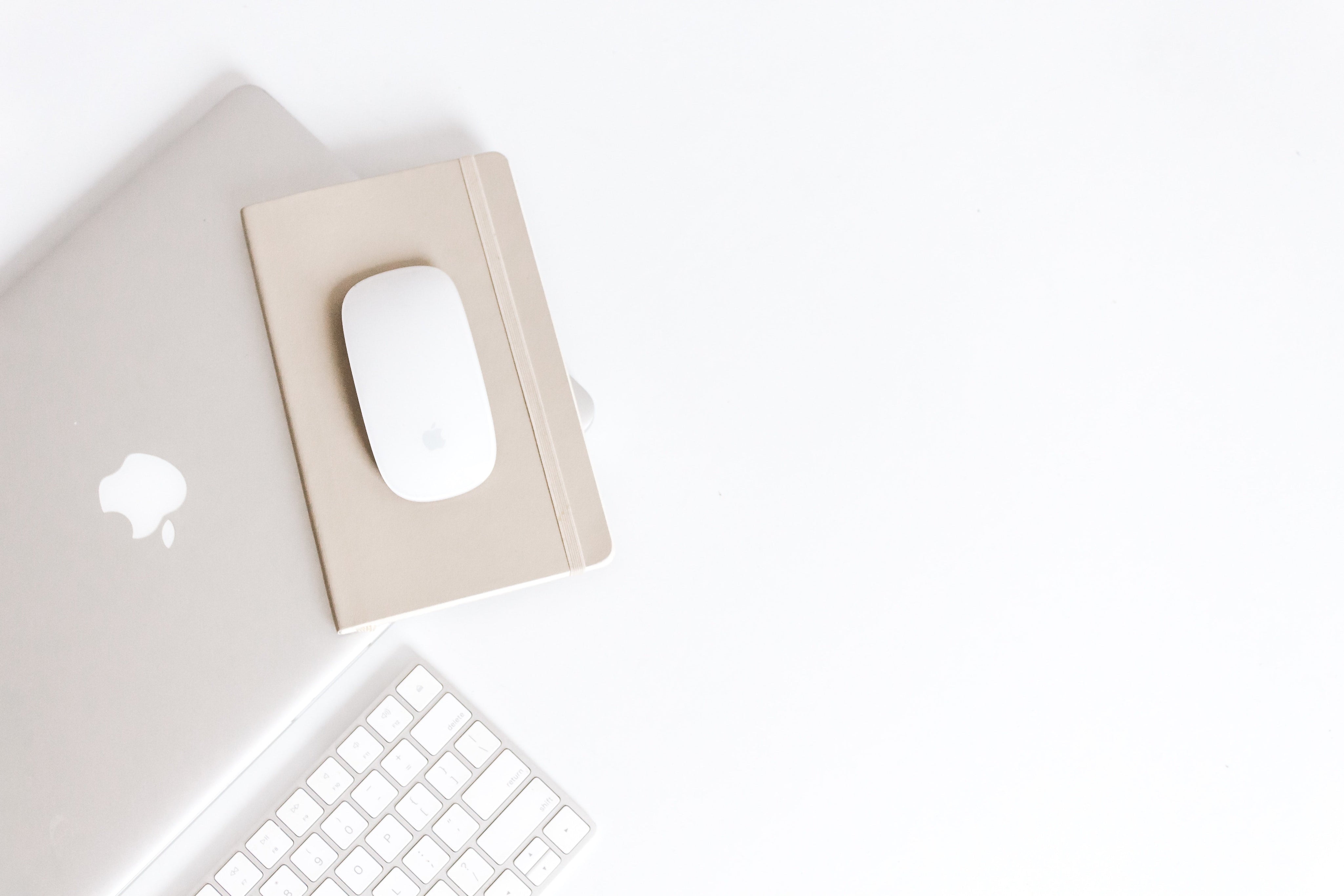 The Ultimate Guide: The Effects of Blue Light + Why It Matters