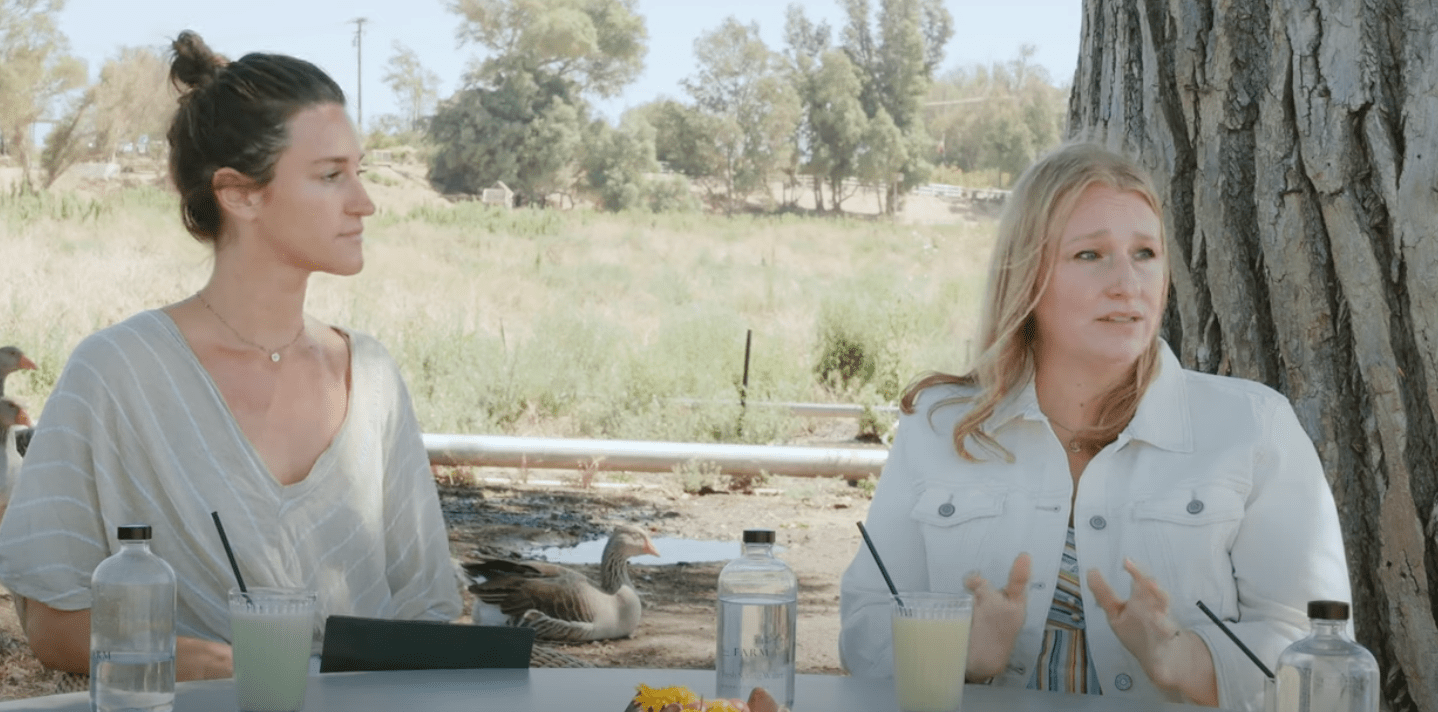 Greenwashing Tactics + the Impact Products Have on Infertility