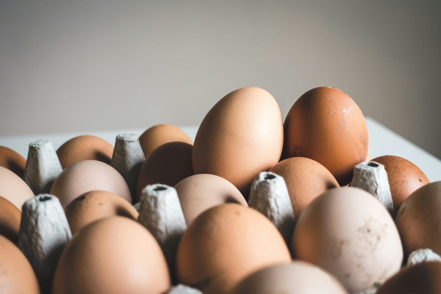 Why Eating More Protein-Rich Food Will Make You Feel + Look Your Best