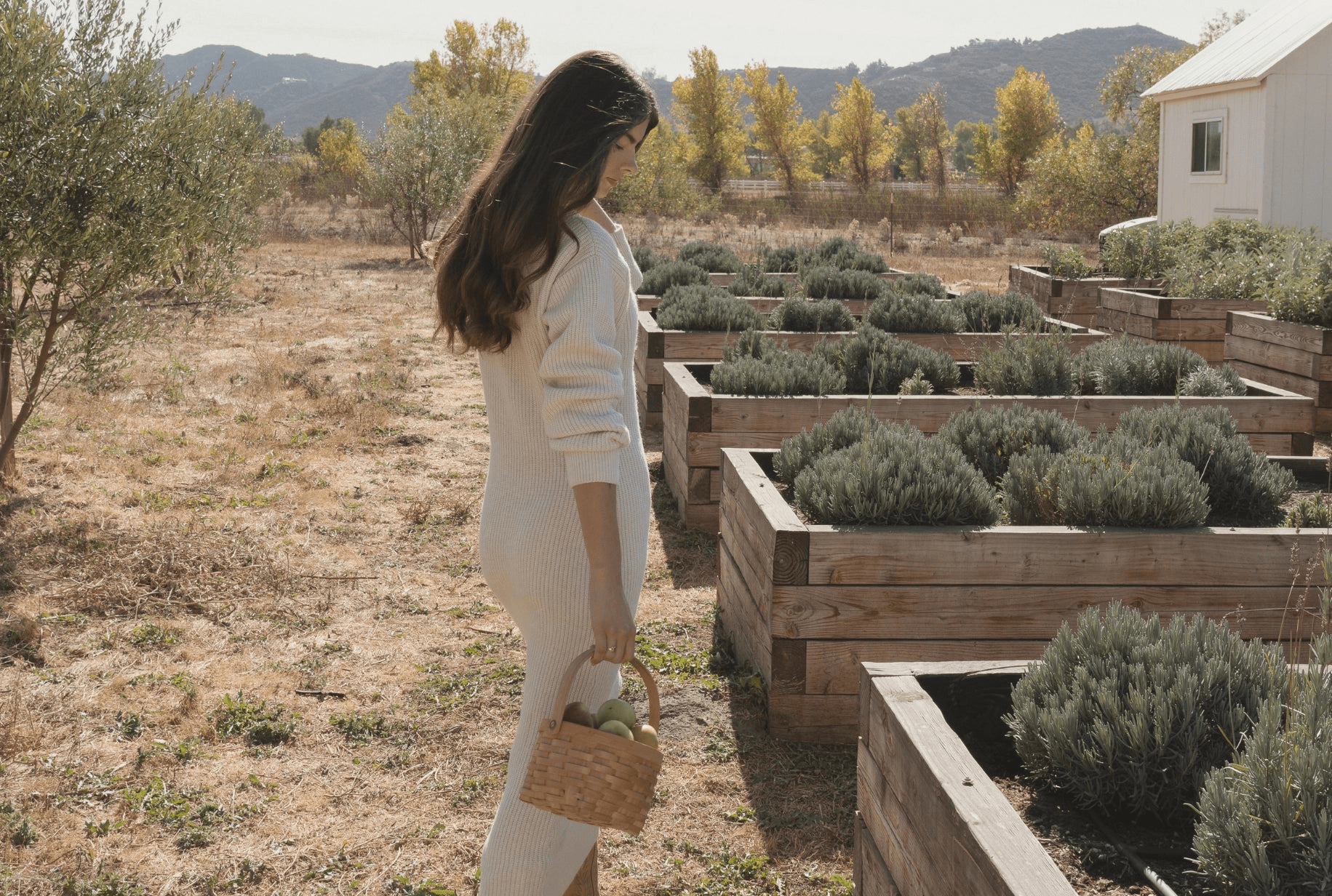 Autumn Wellness