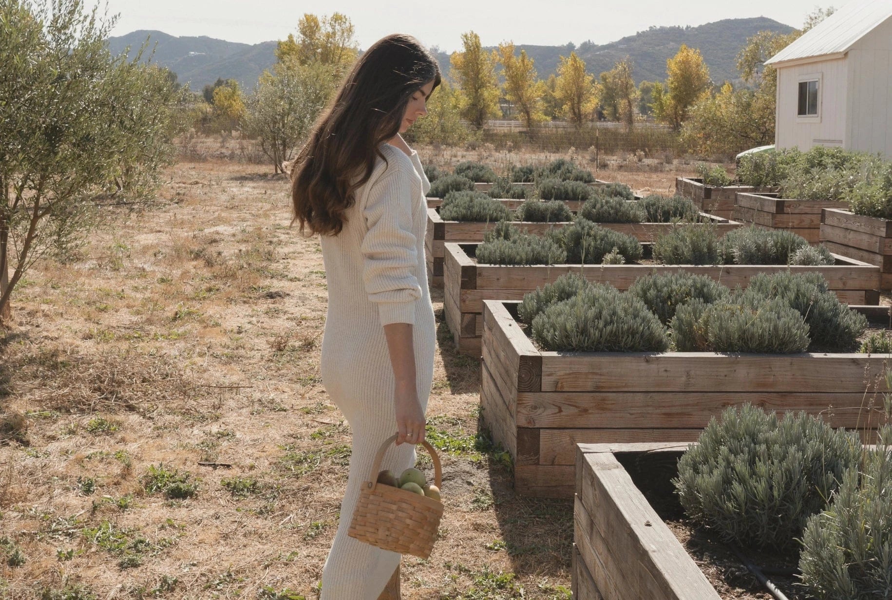 Primally Pure Fall Skincare and Wellness Collection. Embrace seasonal living with these fall-favorites and rituals 
