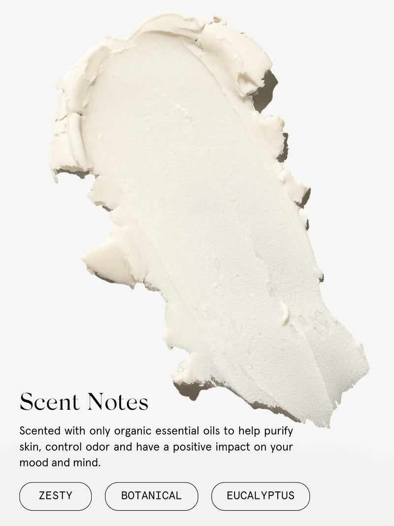 Bergamot + Eucalyptus Deodorant Deodorant Primally Pure