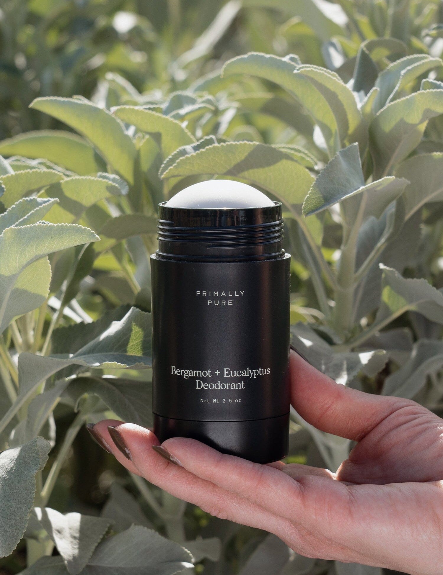 Bergamot + Eucalyptus Deodorant Deodorant Primally Pure 