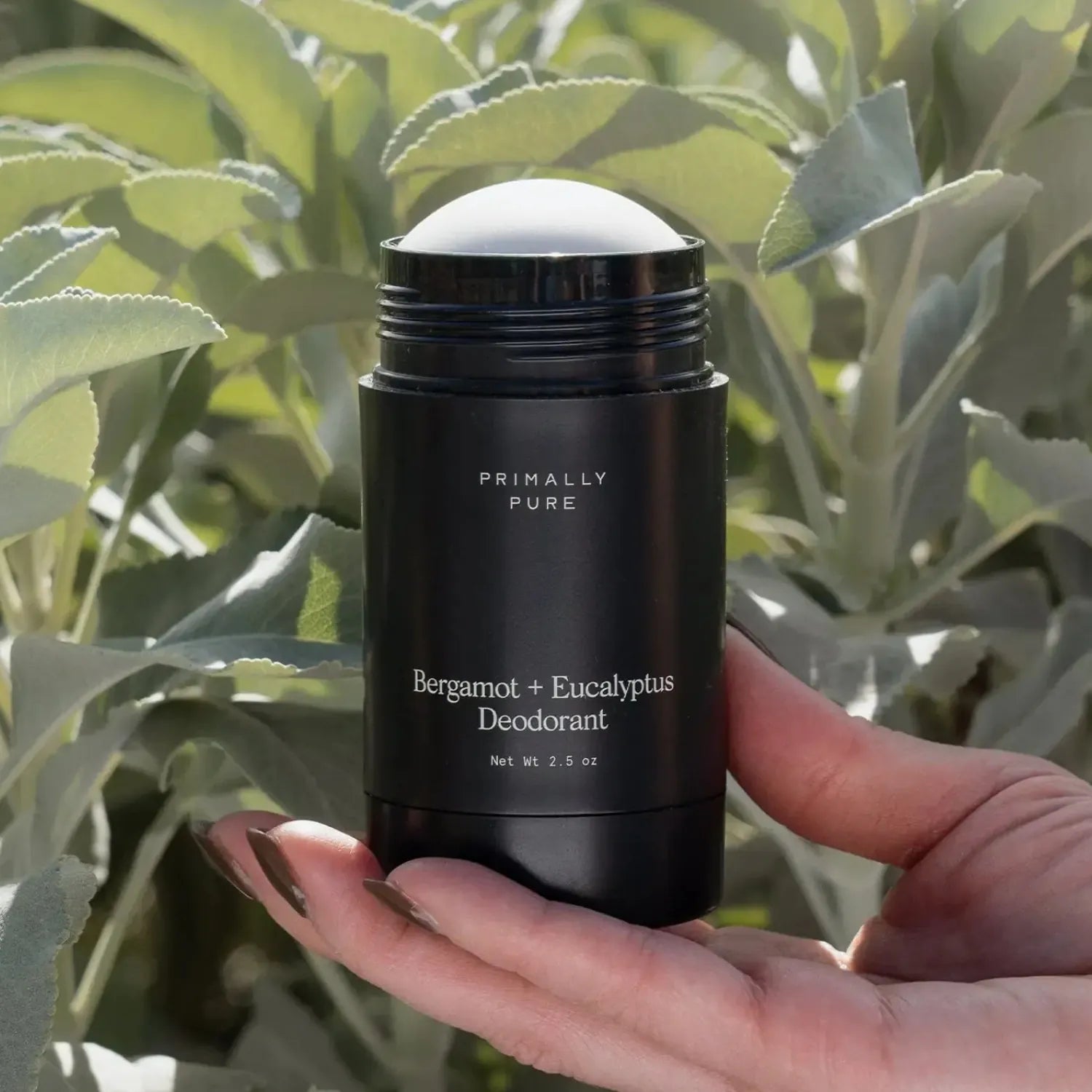 A hand holding a Primally Pure Bergamot + Eucalyptus Deodorant stick against a background of green leaves.