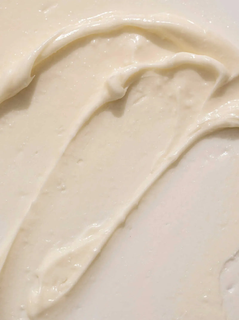 Citrus + Mint Body Butter (2 oz) Body Butter Primally Pure