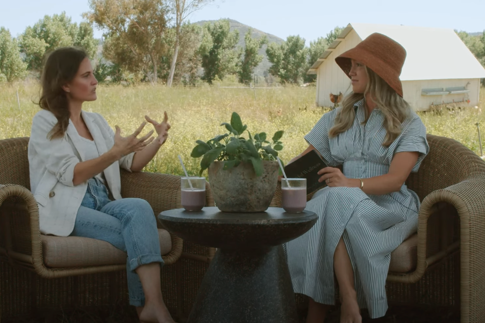 Grounded Wellness Episode 7: Simple Non-Toxic Swaps - Branch Basics Co-Founder Kelly Love