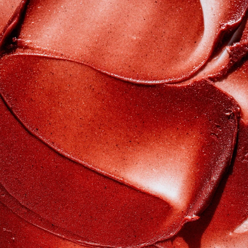 Holiday Tinted Lip Balm Holiday Primally Pure
