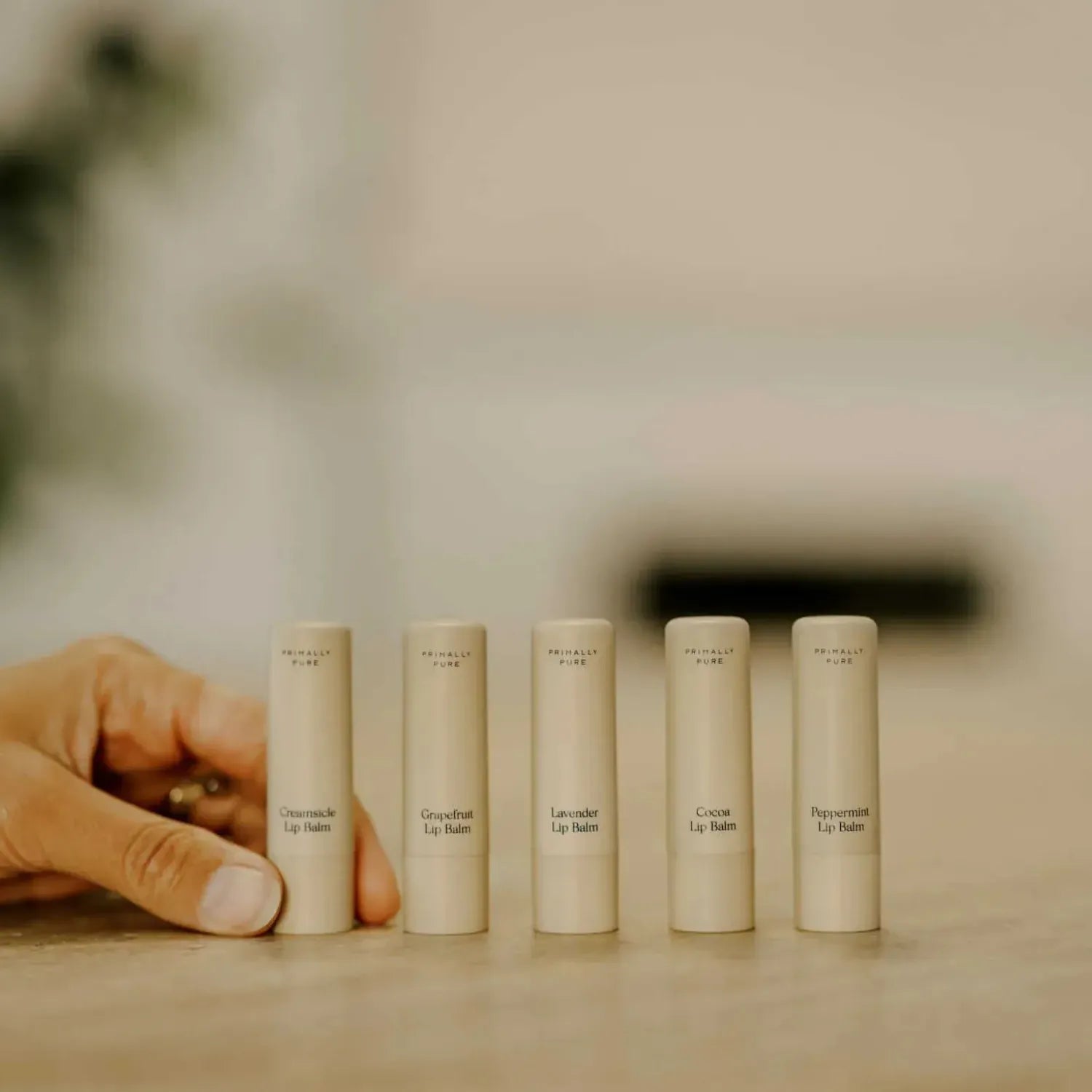 Lip Balm Set Lip Balm Primally Pure