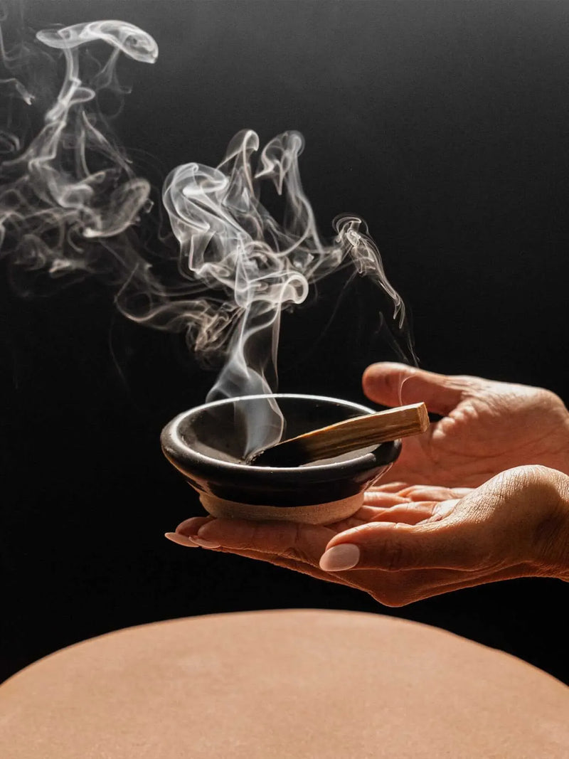 Palo Santo Sticks Home Primally Pure