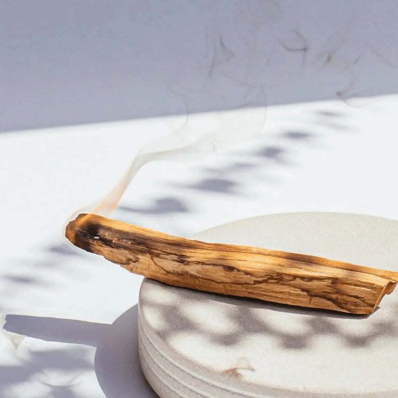 2024 Palo Santo Sticks Home Primally Pure
