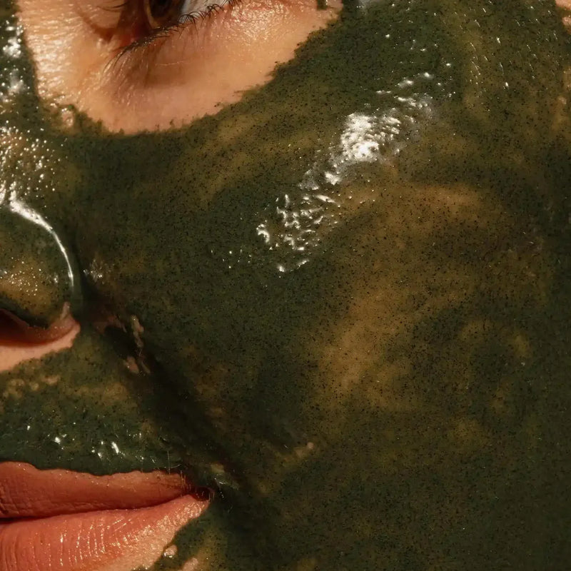 Regenerative Hemp Face Mask Primally Pure