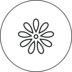 flower_icon_d35d626e-dc83-417b-815e-39e88edaa6dd.png