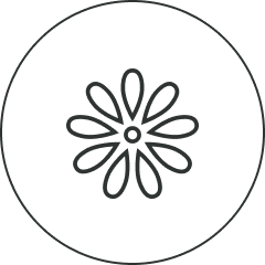 flower_icon_d35d626e-dc83-417b-815e-39e88edaa6dd.png